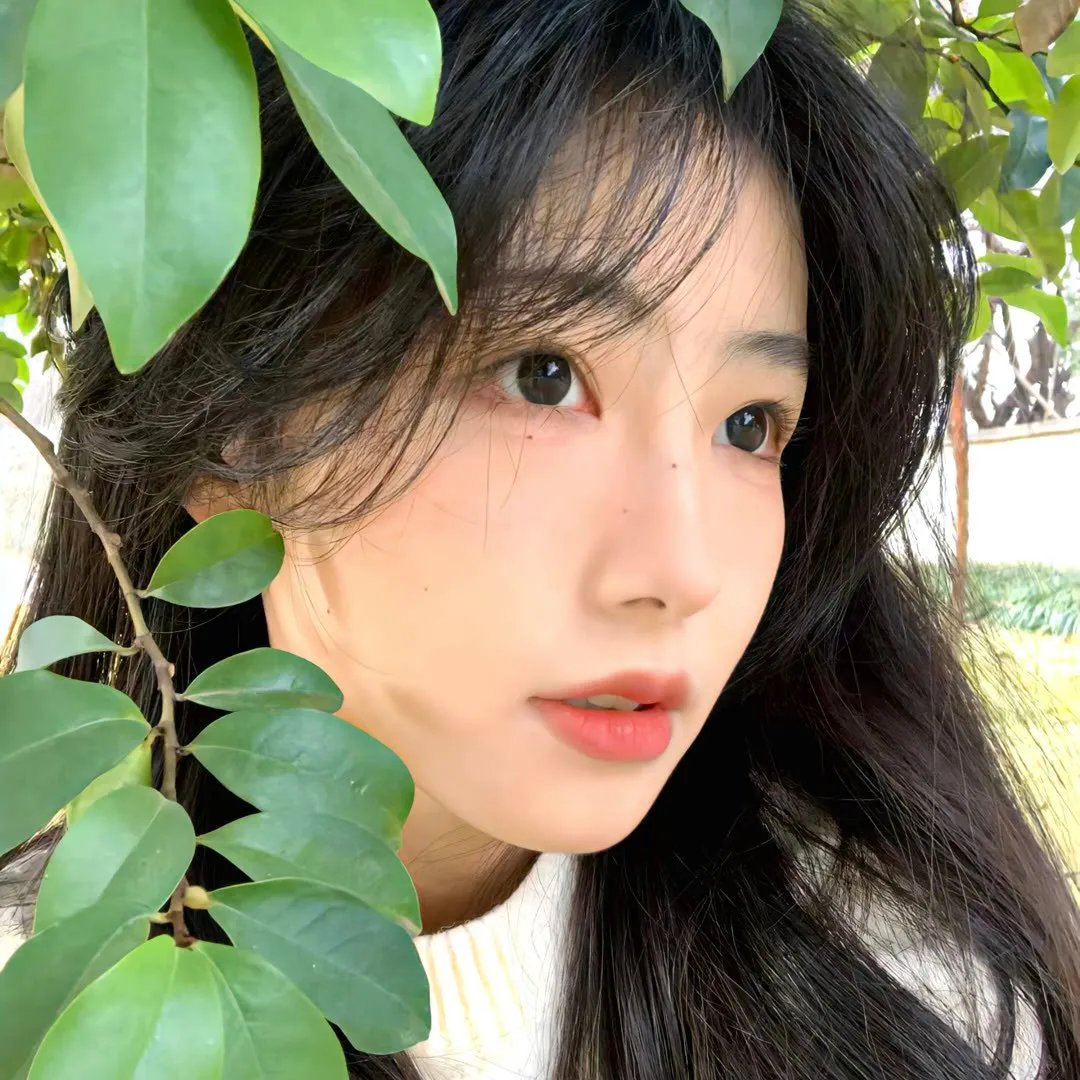 通往大河之路